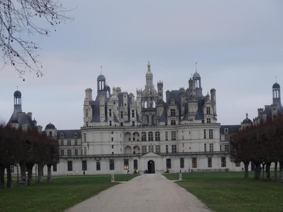Gite Le Cerf Solognot Proche Chateau Chambord, Lamotte Beuvron Neung-sur-Beuvron Buitenkant foto
